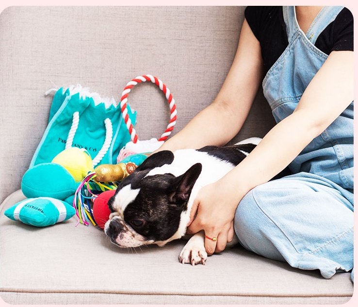 bolsa-regalo-juguetes-perros-raijuu-02.jpg Perro junto a la bolsa de regalo, con un hueso y un cojín, azules y con decoración