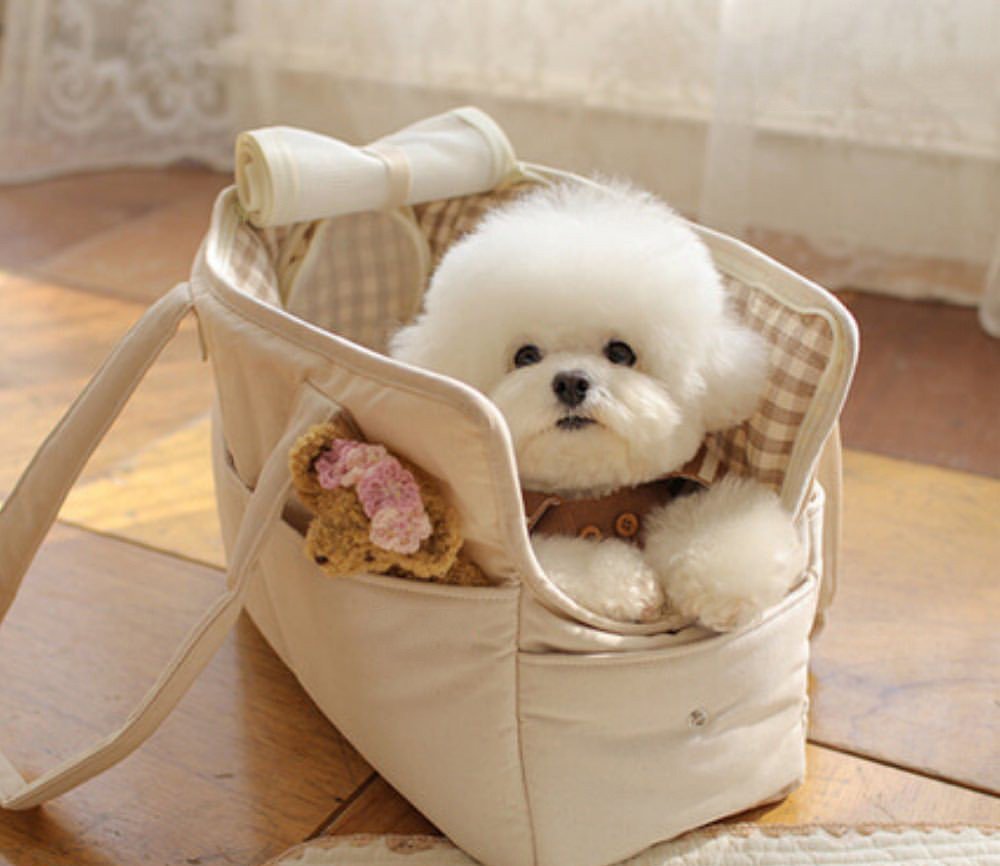 bolso-picnic-elegante-raijuu-28.jpg Bolso para perros elegante estilo picnic elegante color beige