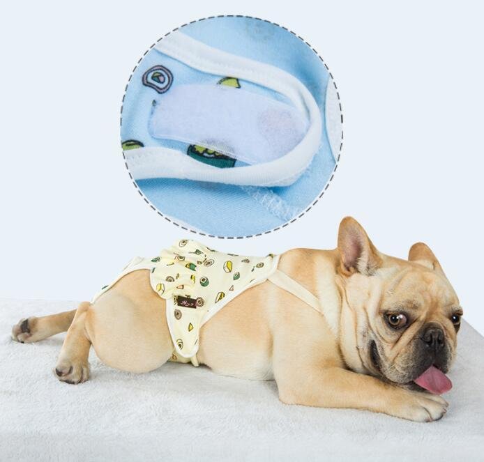 braguitas-panyal-raijuu-13.jpg Detalle del belcro de las braguitas para perros