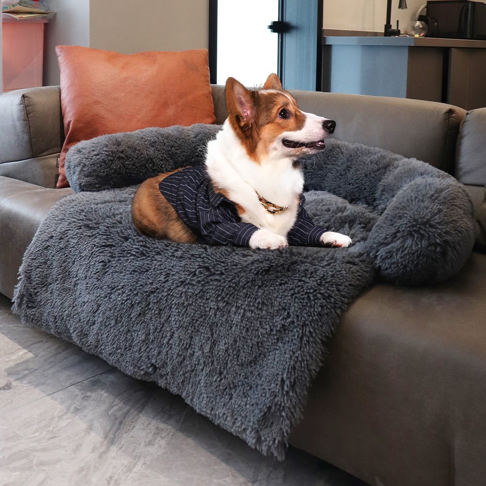 cama-suave-para-sofa-raijuu-28.jpg Perro encima de la Cama para perros en el sofá suave color gris oscuro