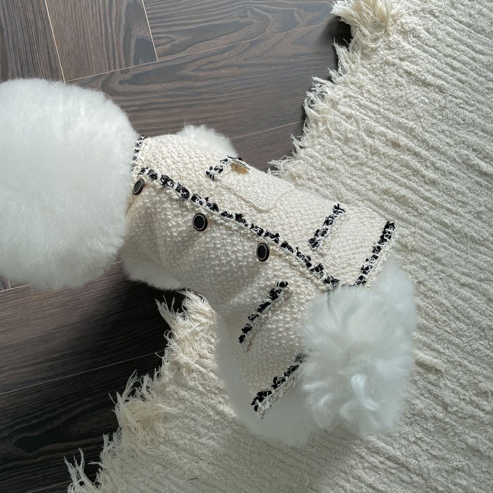 chaqueta-elegante-bordada-perros-raijuu-09.jpg Perro llevando la chaqueta elegante bordada para perros de color blanca