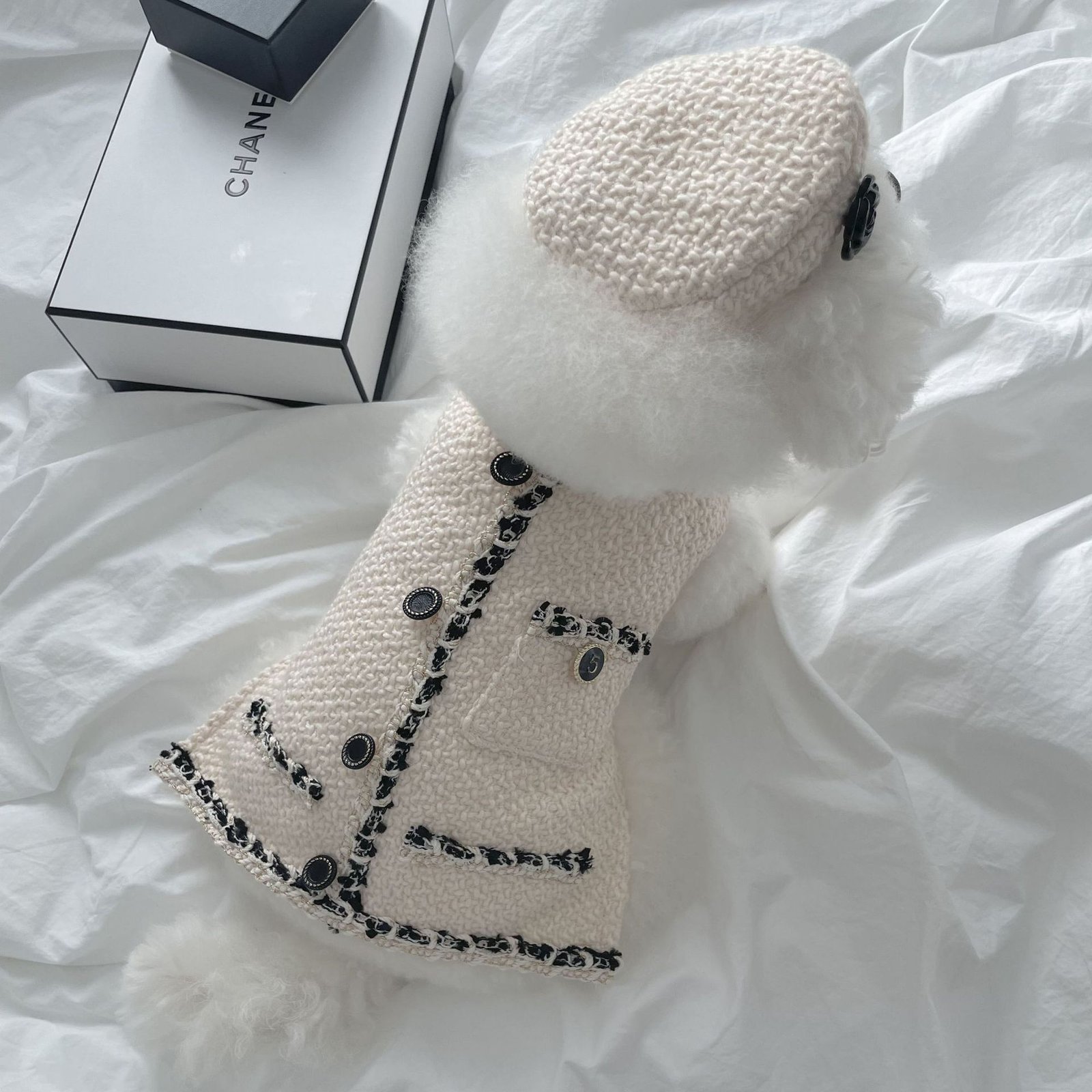 chaqueta-elegante-bordada-perros-raijuu-11.jpg Chaqueta elegante bordada para perros de color blanca