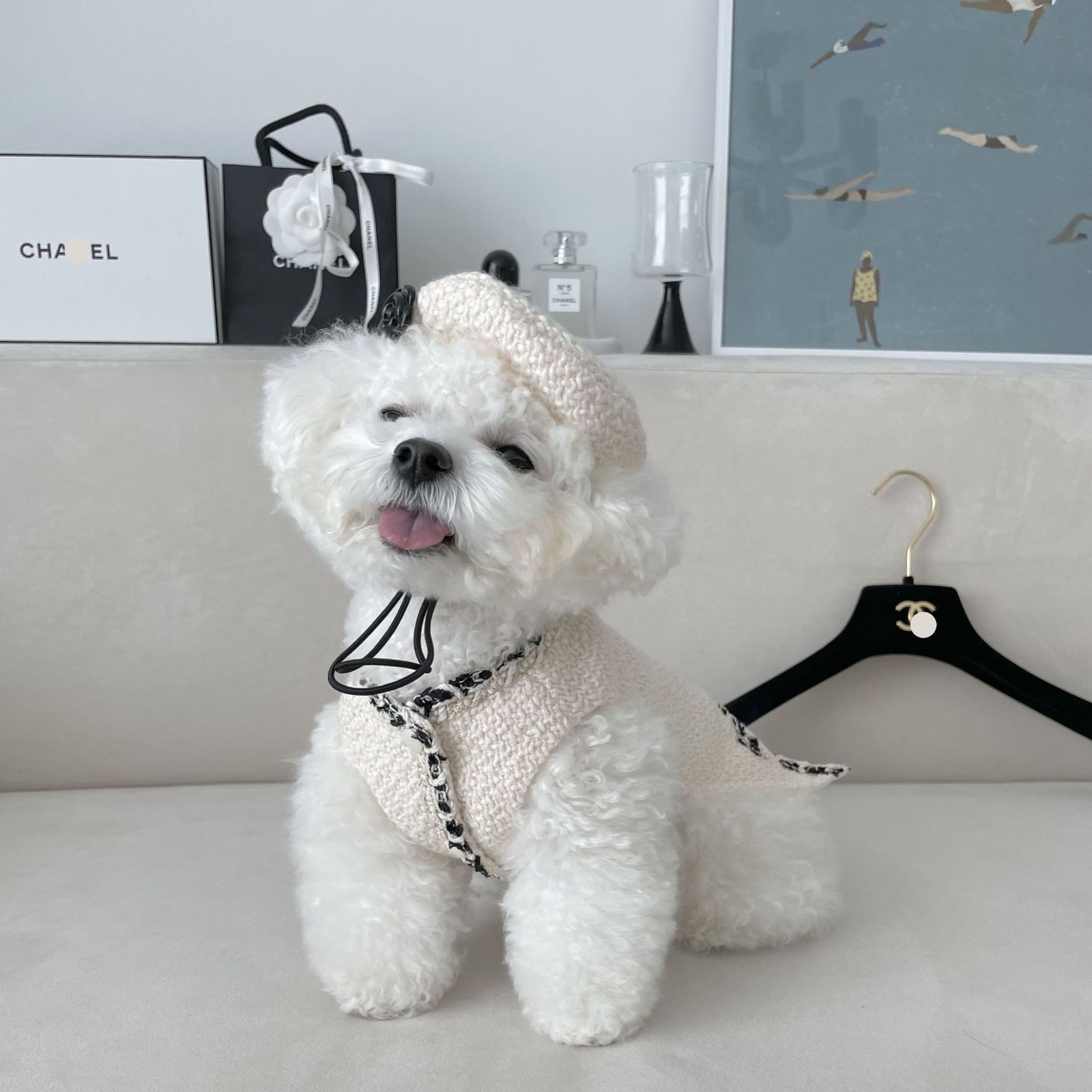chaqueta-elegante-bordada-perros-raijuu-12.jpg Perro llevando la chaqueta elegante bordada para perros de color blanca