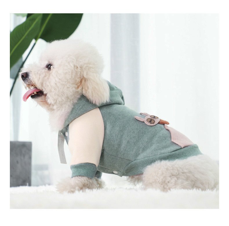 chaqueta-elegante-otonyo-raijuu-19.jpg Perro llevando la elegante chaqueta otoñal de color gris