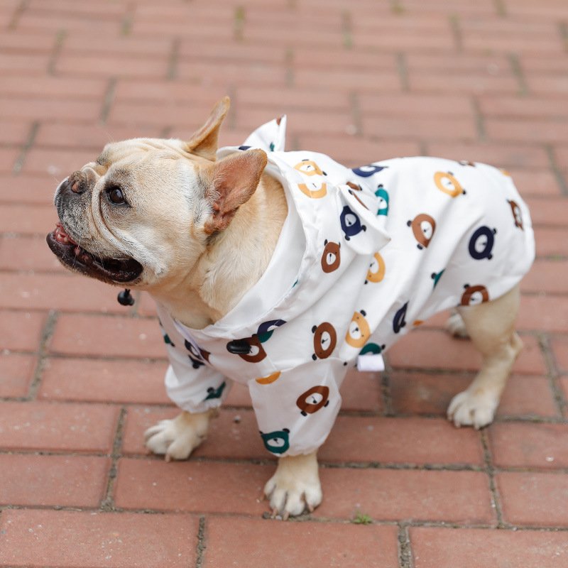 chubasquero-estampado-animales-raijuu-28.jpg Perro llevando el Chubasquero para perros con estampado de animales de ositos