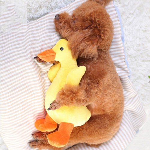 Perro junto al juguete pato de peluche