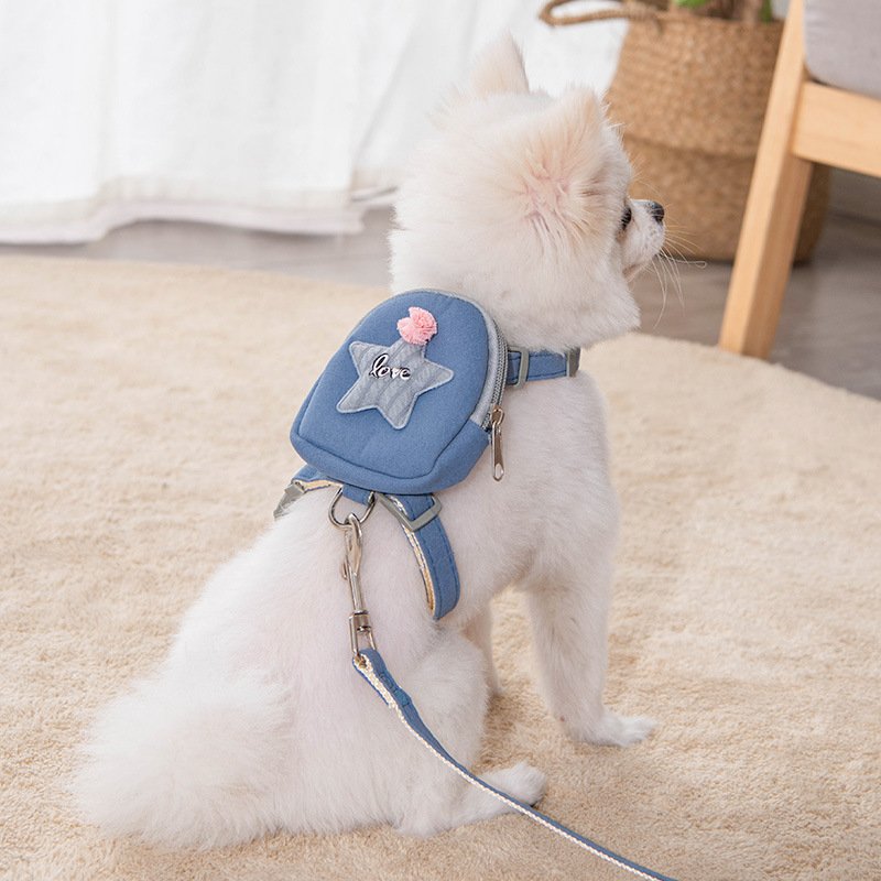 mochila-correa-estrella-perros-raijuu-16.jpg Perro llevando la mochila azul con la estrella