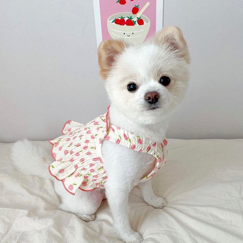 Vestido de verano con estampado de frutas para perros con estampado de pomelos rosas