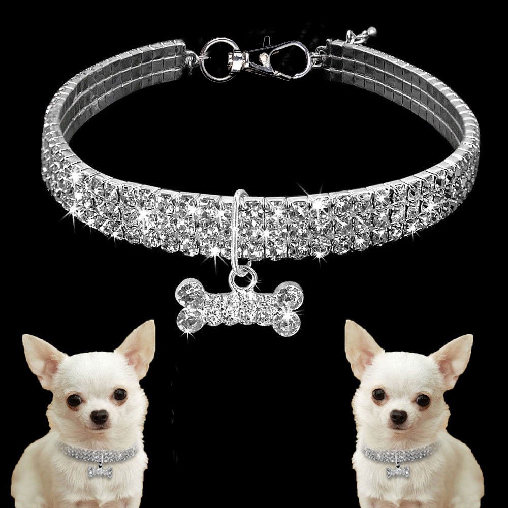 collar-piedras-diamante-raijuu-14.jpg Dos perros llevando el collar de piedras de “diamante” para perros color blanco