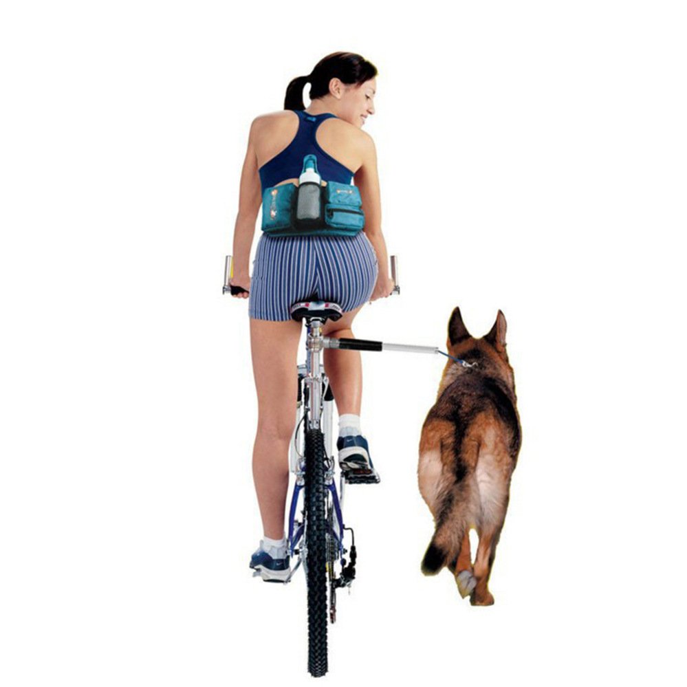 correa-bicicleta-raijuu-05.jpg Chica en bicicleta junto a su perro