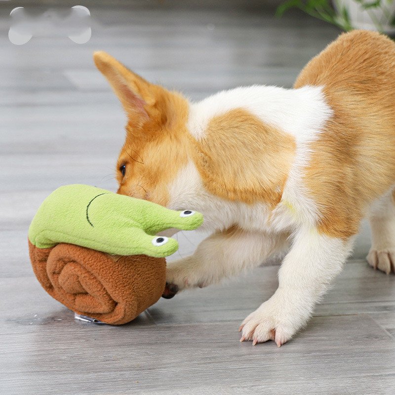Perro jugando con el caracol