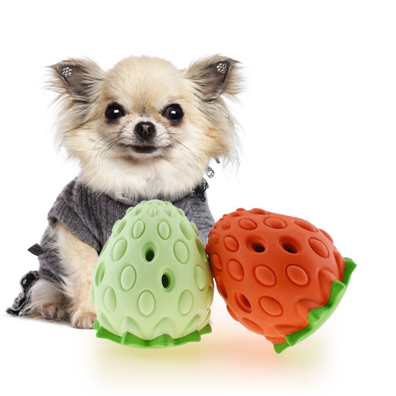 Perro pequeño junto a dos juguetes interactivos con forma de fresa