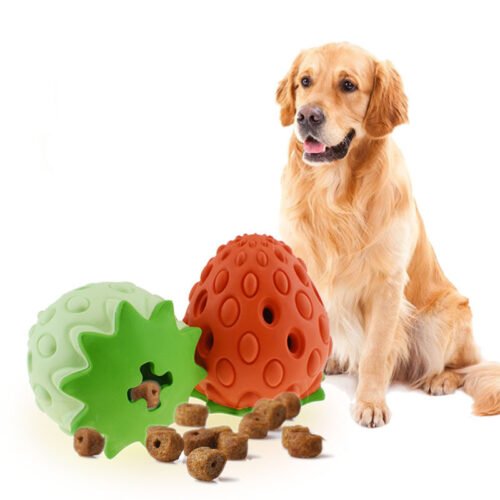 Perro junto a dos juguetes interactivos con forma de fresa