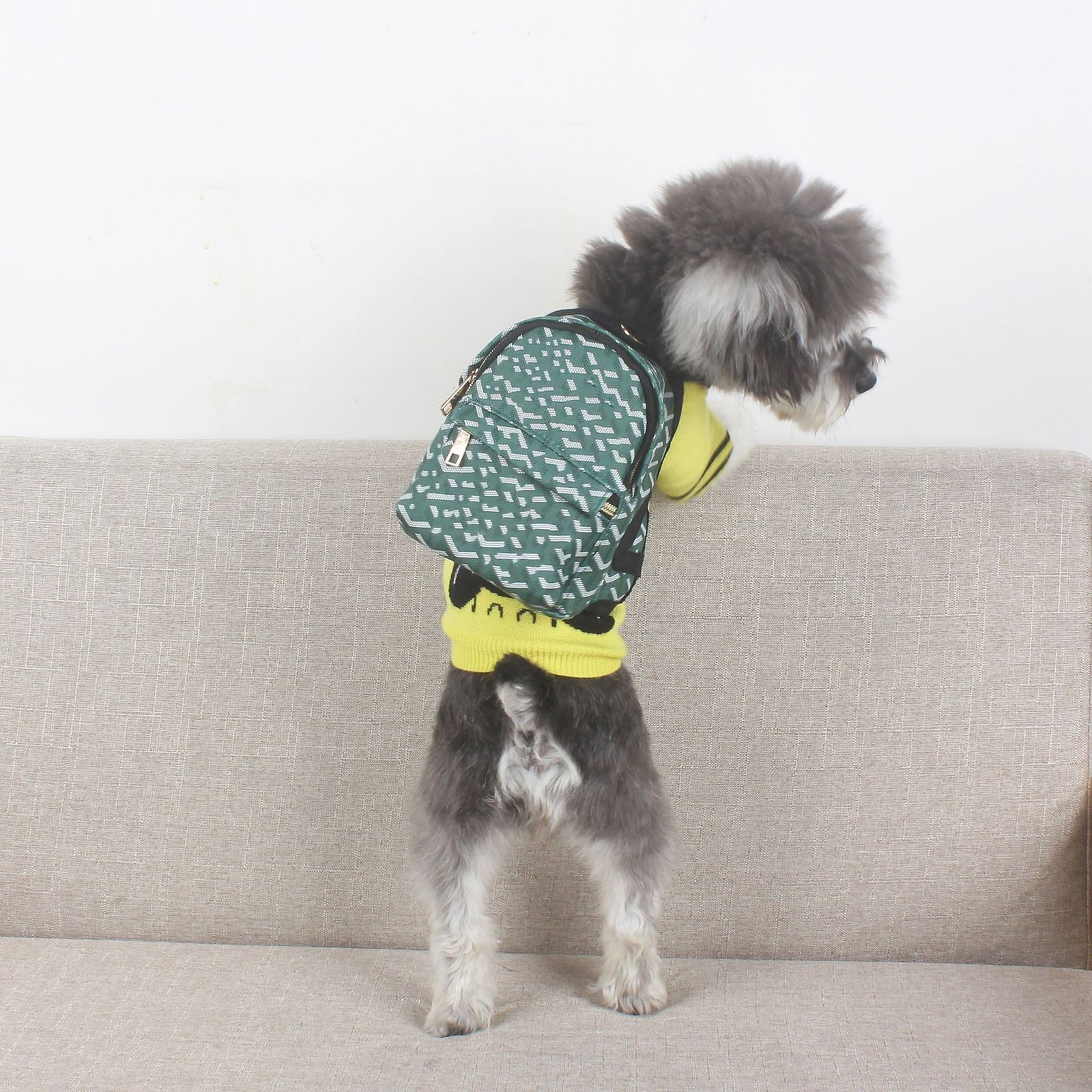 mochila-escolar-perros-raijuu-05.jpg Perro llevando la mochila escolar para perros