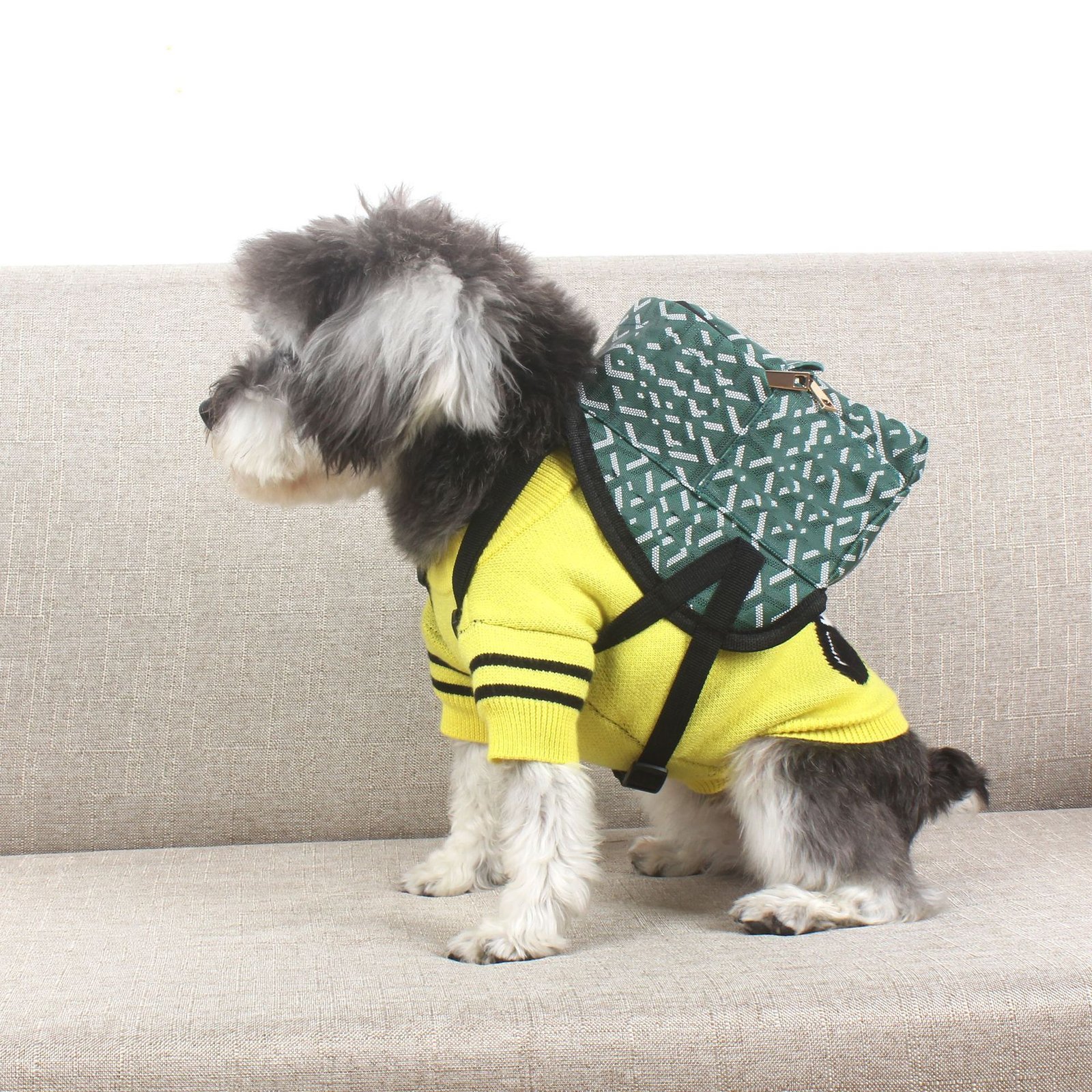 mochila-escolar-perros-raijuu-07.jpg Perro llevando la mochila escolar para perros