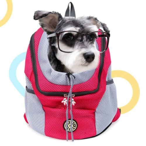 Perro dentro de la mochila portaperros con compartimentos de color rojo