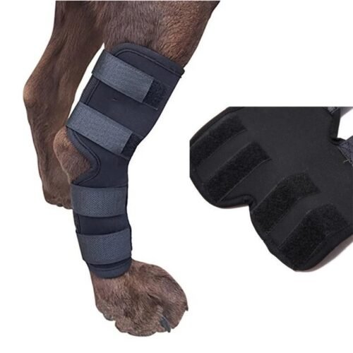 Protector rodillera para perros color negro patas traseras