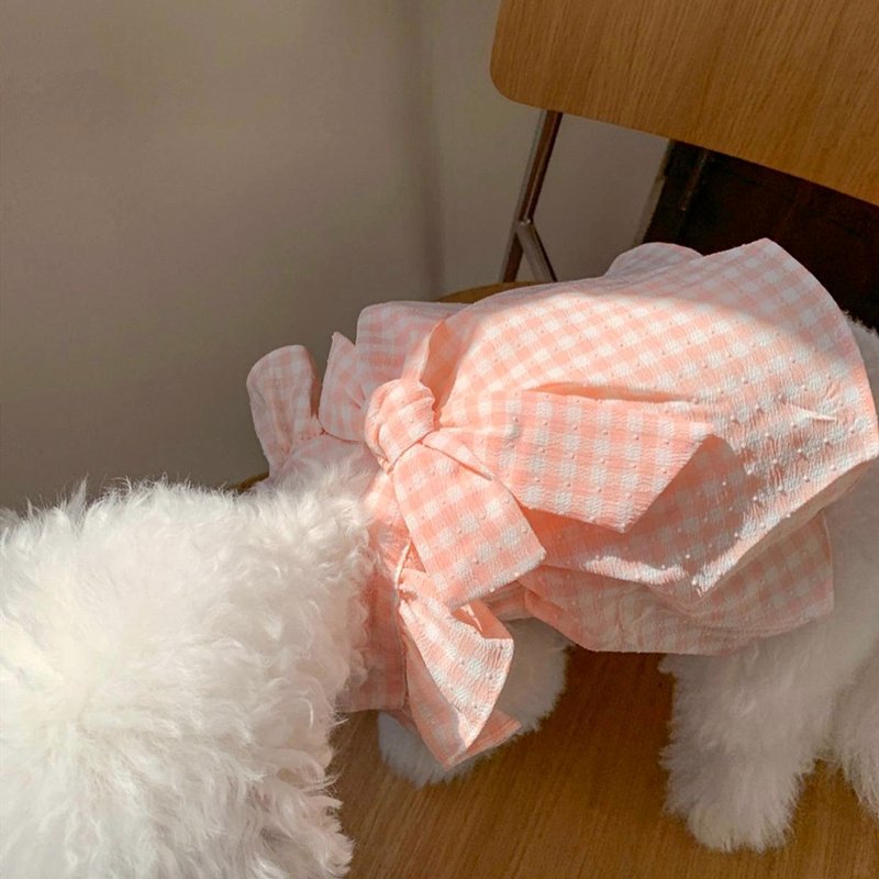Perro llevando el vestido de cuadros de verano color rosa